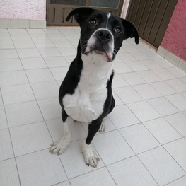 D 25c15bf8 ed5c 421e 9e6d b3e41b8769aa