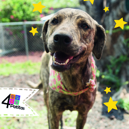 D 3a749e4a 93ab 4c03 b50f 66b27b39e652