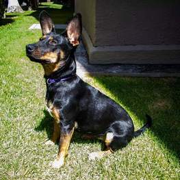 D a4ae868b fecb 4685 b6a7 817d33000186