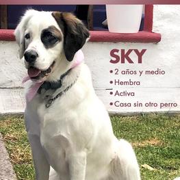 D 2ea02797 9540 4387 9812 66232a15527c