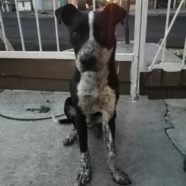 D 71decc3d 0e98 4f13 98c5 91a45818ef34