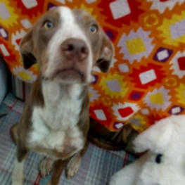 D edc57eea 9e8b 4650 8c1d 41a60c89f494