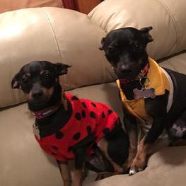 D ed17daaf 7514 410c ae7a dd583eac221b