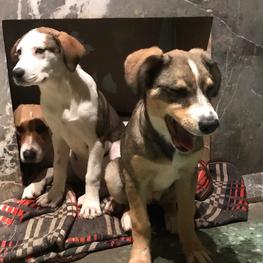 D 28e29d59 6e22 4106 91ad 0d334fd17b13