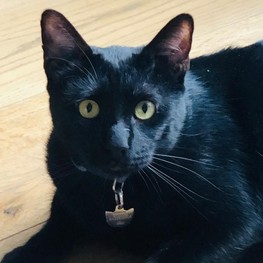 D d1a901fe 092b 4b3a 80ad 7c04d7dfa706