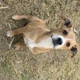 D 96ec13f2 4392 43f0 81cd 64a21811398e