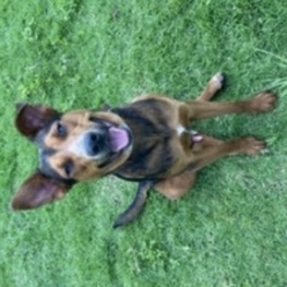 D d84a099b a4ad 4783 9044 8c82b06b1264