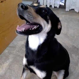 D ad564c4a 237d 4e83 9ba4 4d7abadfe91f