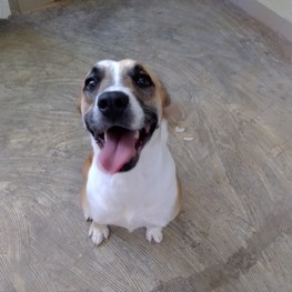 D d3046f55 286c 4f28 9de5 7b1902af4cc3