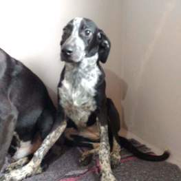 D 62b58cef 2d97 4149 b4a8 e29a87cf7433