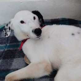 D f07ed653 8c26 4937 a03d b0d2da1b5eef