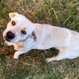 D 3564c6b3 04cb 4b6f a519 7528574751e0