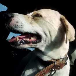 D dcb85c17 55f0 43ed 8b8f 2572f3502fa1