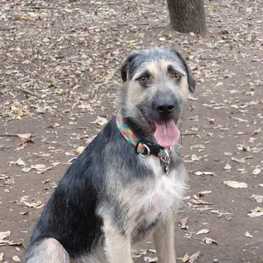 D d8825b15 95f4 4c31 aee8 ec8867f6b5bd