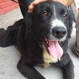 D 85c8be76 63cb 418c 882e c1d3647192ce