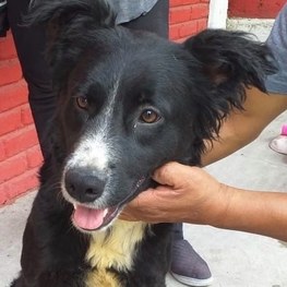 D 43ece2a6 87b7 41aa 9951 172b4978dbeb