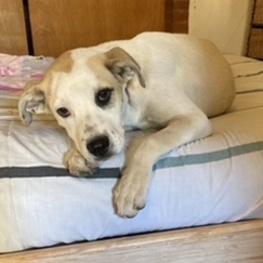 D efd308c0 537b 42f1 a84f c1cbacb55329