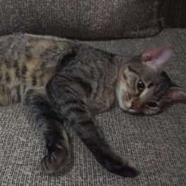 D b131086e 3907 4f14 bc23 afd3a59ab5ed