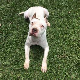 D 8e5ba02b 34a0 4cab bb76 f678c688e6d6