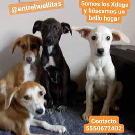 D 0cef9c8a 05c9 4dd3 bc5a 111e296d3437