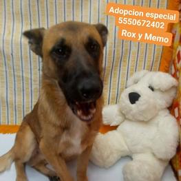 D 6b9f373d b06f 471a 82d1 e6c152e7bf46