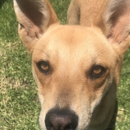 D 66e2c0bd 4c88 4653 b70f 27bd290cf71f