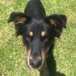 D 9d937176 b37f 4051 800a 38ba50ab10df