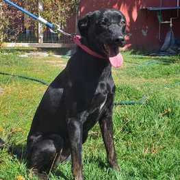 D 140936ff 2952 4953 b172 9cee9418a70a