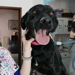 D 6fbe35fb a2ad 4d46 b6e4 acfd3ff8db43