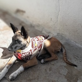 D b734ef96 0798 4ddc bc07 2448ea832ee1