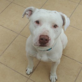 D e0d7ffaa 3a07 4ca5 a268 da1c60d7cf28