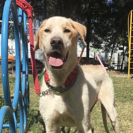 D 0bdd9ac4 9674 4a38 8ca3 e374578be919