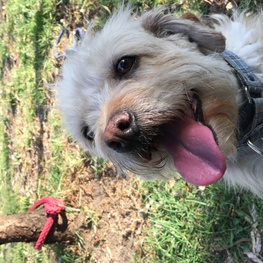 D 99e29a79 fab9 4d2d af3b b43a961ca3b2