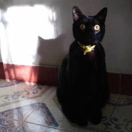 D 64c90f25 8ea3 470f 96ce bf9c858bd926