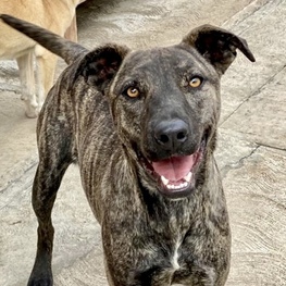 D b0198509 6066 4f5b 9146 52d692034d5e