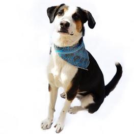 D 00ecaa64 dce4 4505 865f 0599d947b1ca