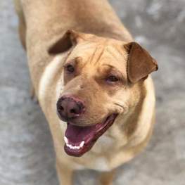 D d524e7d0 edd0 42d3 93f4 9f415e86e2a5