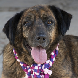 D c2ae34d7 2f73 4b5f aa5c df7c2081ee08