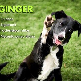 D 6157214f 7289 4443 9fd4 ffc4778bd7dc