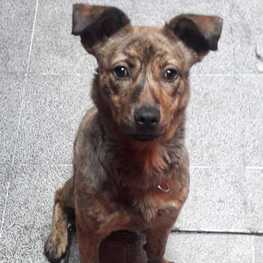 D 8d36adb7 473e 42b2 8350 de1f506c6da9