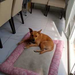 D 85a0b3d9 8afe 4c3d 8a04 49eac2f7f941