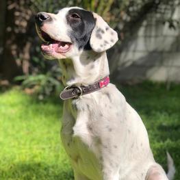 D 45c9dc3b e374 468e 9657 bb0bd75552fb