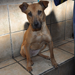 D a259672b 1564 4f37 af3f 8e629c046c31