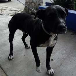 D 85759ba5 def7 4814 a723 ae75bcbe3abe