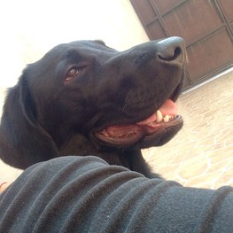 D 8c464137 a48d 4dfa 808e 4161e6ecd47d