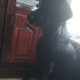 D 19a36d72 533d 4dae 8bb7 5f993ac1d9ed