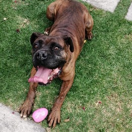 D 1468f991 e314 417a 8975 506ba578ddc0