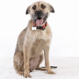 D 168f5145 2937 4765 bce8 3f7a34e7c680