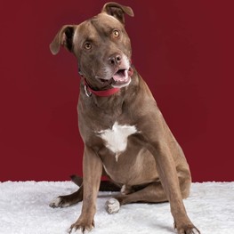 D b5f68fdf 66be 4151 9d2a da0b7c38af7f