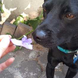 D 46fcb181 4257 4f5a 8eb1 778e104128e9